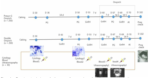 Experiment design of the overall procedure for the two reproductive programs