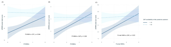 WMH와 striatal DAT availiabity 간의 interaction effect