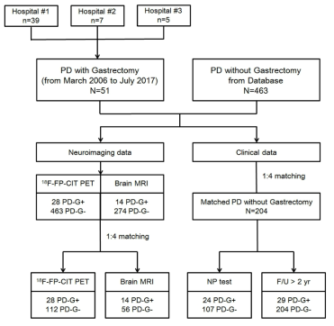 파킨슨병 환자 등록 과정 모식도. PD-G+ = 위절제술/미주신경차단술 과거력이 있는 파킨슨병 환자; PD-G- = 뮈절제술 /미주신경차단술 과거력이 없는 파킨슨병 환자; 18F-FP-CIT PET = 기저핵 도파민 운반체 밀도를 확인하는 양전자 방출 단층촬영; Brain MRI = 대뇌피질 두께 분석을 위한 뇌자기공명영상; NP test = 인지기능검사