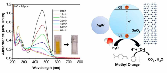 CNT-SnO2-AgBr 복합체의 광촉매 특성과 반응 메카니즘