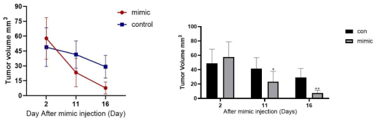 BPH-1 cell을 이용한 xenograft mice model; mimic injection후에 time별 tumor 크기 변화