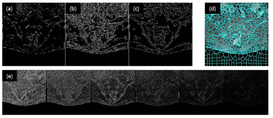 경계선, 영역 과분할 및 질감 검출 결과. (a) Prewitt 경계선 검출기 결과. (b) Canny 경계선 검출기 결과. (c) 가우시안 흐림 효과 처리 후 Canny 경계선 검출 결과. (d) 단순 선형 재귀 군집 알고리즘을 이용한 영역 과분할 결과. (e) 여섯 가지 질감에 대한 검출 결과