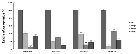 siRNA 라이브러리 factor에 대한 각 3가지 후보 sequence의 넉다운 효능 검증