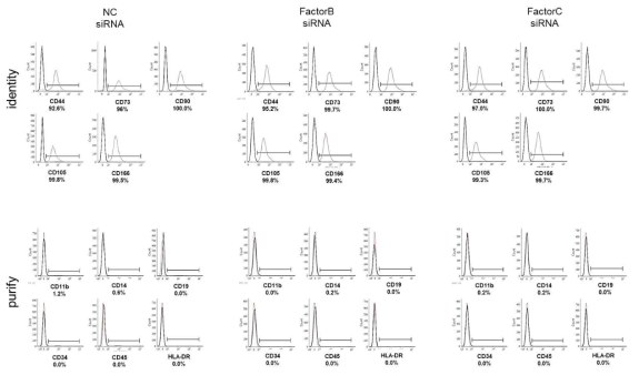 FactorB, FactorC gene의 knockdown 이후 stemness를 확인한 FACS 분석