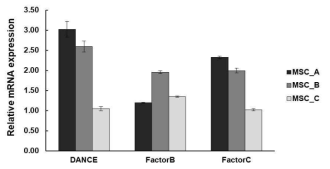 중간엽 줄기세포에서 DANCE와 MAF gene의 mRNA 발현 간의 상관관계