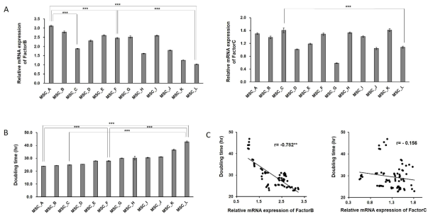 FactorB와 FactorC의 mRNA의 발현양과 doubling time과의 상관관계