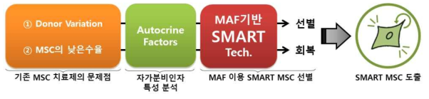 기존 naive 중간엽 줄기세포 치료제의 문제점을 극복한 스마트 중간엽 줄기세포 치료제 도출