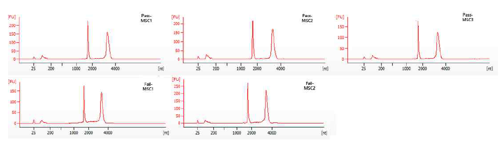 Pass MSC와 Fail MSC에서 추출한 mRNA의 Peak 패턴 분석결과