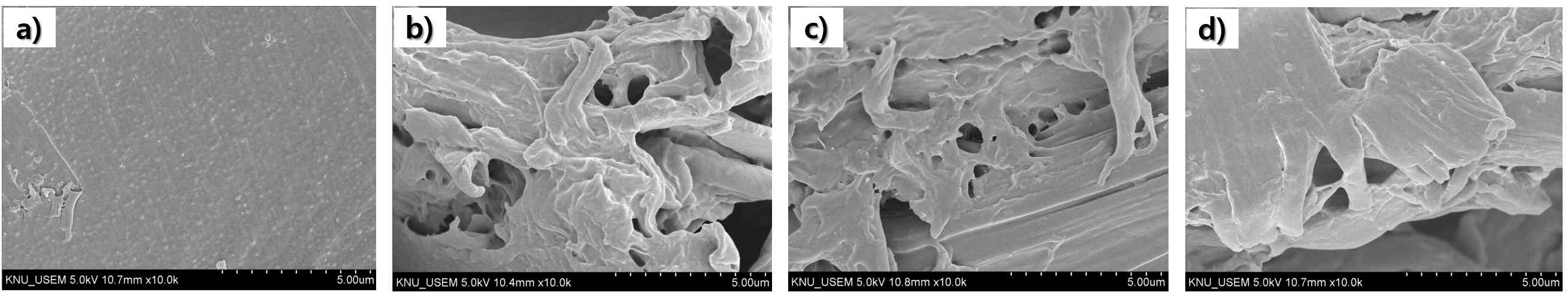 SEM image illustrating the morphology of the untreated material (a), CC/GLY 1:2(b), CC/GLY 1:6 (c) and CC/GLY 1:10(d) with different molar ratios for 12 h at 100 ℃ using red pine sapwood