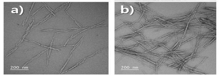 Transmission electron microscopy images of the CNF produced by ultrasonication after DES treatment of choline chloride and lactic acid in a 1:3 (a) and 1:5 (b)molar ratio at 100 ℃ for 360 min