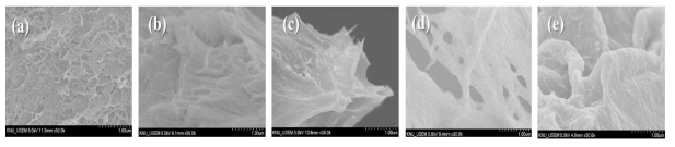 The cross sectional SEM images of the aerogels: (a) DC, (b) DAC1, (c) DAC1.5 (d) PEI1 (e) and PEI1.5