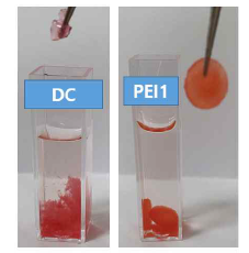 Comparison of morphology of CNF aerogel(DC) and aerogel syntheized with PEI (PEI1) after dyeing for 20 min