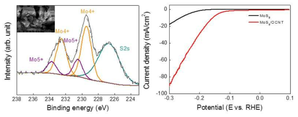 제안자의 최근 연구결과 (좌) MoS9의 Mo3d spectrum 및 (우) HER 촉매 특성