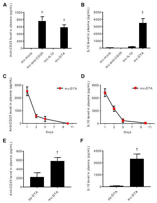 Detection of DTA derived from MCs in normal mouse plasma. A, B) Concentration of anti-CD25 (A) and IL-10 (B) in the plasma of mice injected with mc-mock, mc-antiCD25, mc-IL-10, or mc-DTA. Protein secretion was assessed by ELISA at 3 d after injection. C, D) Concentrations of anti-CD25 (C) and IL-10 (D) in the plasma of mice injected with mc-DTA. DTA secretion from cells was assessed by ELISA at each indicated day after injection. E, F) Concentrations of anti-CD25 (E) and IL-10 (F) in the plasma of mice injected with pp-DTA or mc-DTA. Protein secretion from mice was assessed by ELISA at 3 d after injection. Values are means 6 SE. All results are representative of ≥3 independent experiments. *P〈0.05 vs. mc-mock and mc-IL-10, †P〈0.05 vs. the other group