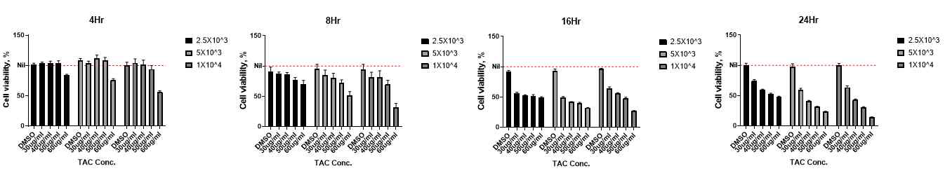 tacrolimus 투여 후 TAC 농도 별 시기 별 mouse Hippocampal neuron의 cell viability 결과