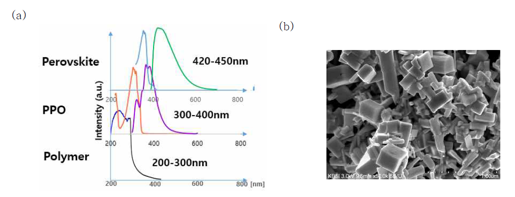 기능성 나노복합소재의 (a) 흡광도 및 발광도 스펙트럼 (b) Perovskite의 SEM 이미지