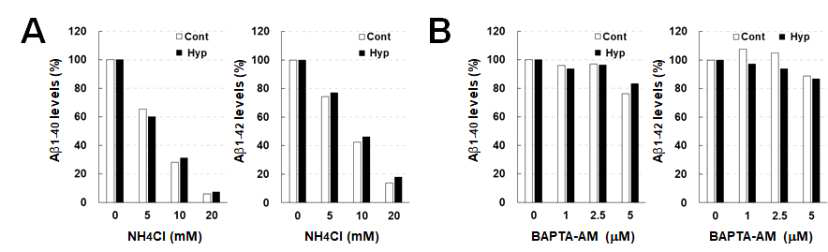 치매 모델 동물의 일차 신경세포 배양에서 NH4Cl 및 BAPTA-AM 처리 시 대조군과 hyperforin 군에서의 베타 아밀로이드 분비량의 변화 측정. Primary neuronal culture에서의 media에서 베타 아밀로이드 1-40 및 1-42을 sandwich ELISA를 통하여 측정하였음. NH4Cl(A) 및 BAPTA-AM(B) 처리 후의 media에서의 베타 아밀로이드 양의 상대비교(각각 저해제를 처리하지않은 군에 대한 베타 아밀로이드의 상대량)을 나타내었음
