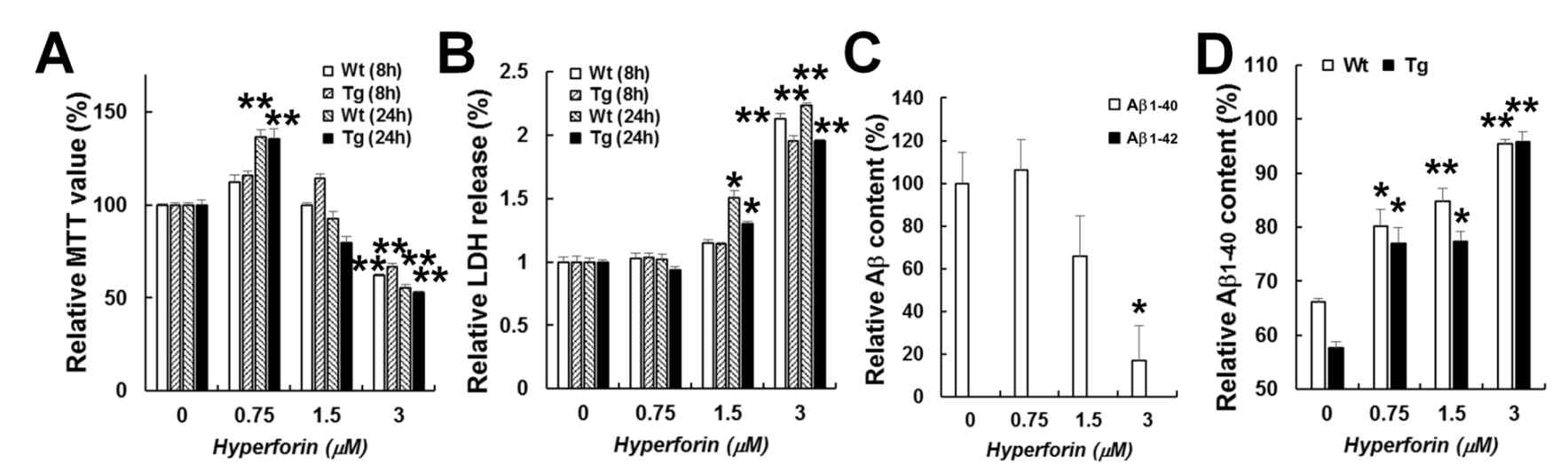 APPsw/PSdE9 transgenic mouse 유래의 embryonic cerebral cortex 유래의 primary microglia에서의 hyperforin에 의한 베타 아밀로이드의 감소. (A-B) MTT assay(A) 및 LDH release assay(B). wild type 및 transgenic mouse의 microglia에 8/24시간 동안 hyperforin을 처리한 후의 결과 (C) hyperforin을 24시간 처리한 후, media에서의 sandwich ELISA를 통한 human beta-amyloid 1-40/42의 상대량 비교. A~C의 실험은 hyperforin의 기술된 농도로 8시간 동안 처리 후 수행하였음. (D) wild type 및 transgenic mouse의 microglia에 1ng의 베타 아밀로이드를 처리한 후, 4시간 후의 잔여 베타아밀로이드 양을 측정한 결과