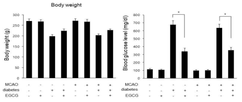 Body weight and blood glucose levels in vehicle + sham, catechin + sham, vehicle + middle cerebral artery occlusion (MCAO), catechin + MCAO, diabetes + vehicle + MCAO, and diabetes + catechin + MCAO animals. Data (n=4) are represented as the mean ± S.E.M. * p < 0.05