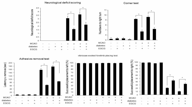 Neurobehavioral scores in vehicle + sham, catechin + sham, vehicle + middle cerebral artery occlusion (MCAO), catechin + MCAO, diabetes + vehicle + MCAO, and diabetes + catechin + MCAO animals. Data (n=4) are represented as the mean ± S.E.M. * p < 0.05