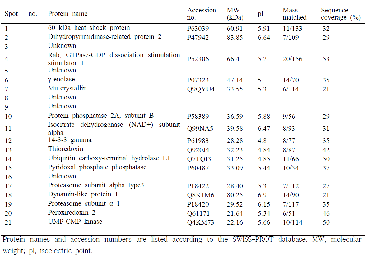 List of identified proteins that were significantly differentially expressed in vehicle- and epigallocatechin gallate (EGCG)-treated animals with middle cerebral artery occlusion