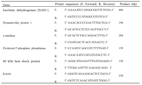 Sequence of the primers used for PCR amplification