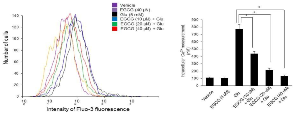 Calcium concentration in glutamate-treated HT22 cells. Glutamate, vehicle, catechin was exposed to HT22 cells for 24 h. ata (n=4) are represented as the mean ± S.E.M. * p < 0.05