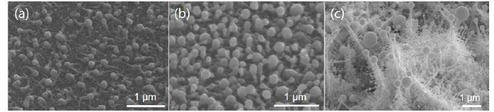 ITO 나노와이어의 시간에 따른 SEM 사진, (a) 20s, (b) 30s, (c) 20m