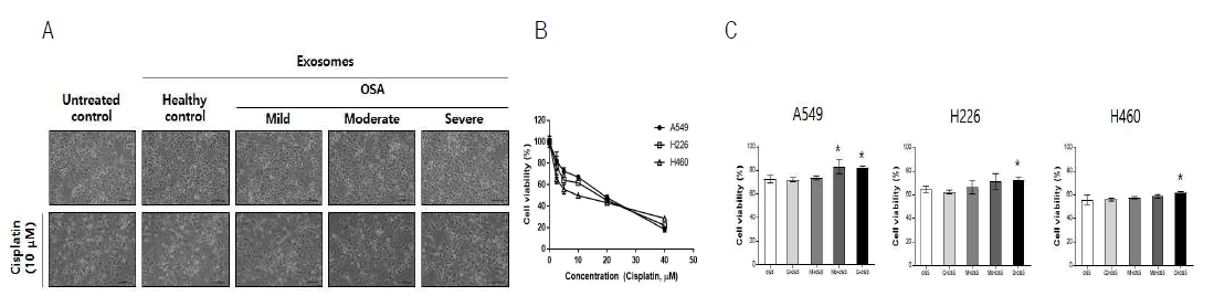 엑소좀과 cisplatin 병용처리 후 폐암세포의 형태적 변화 및 독성테스트 결과 (Data were represented as means ± SD. *p < 0.05 vs. Control by one-way ANOVA.)