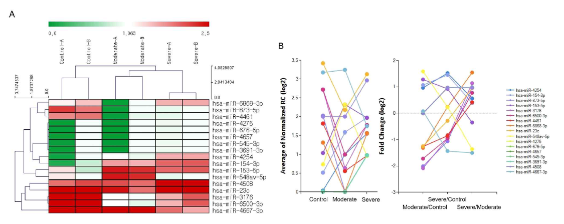 OSA 환자의 엑소좀에 노출된 폐암 세포주 (A549)에서 조절변화가 생긴 17개 miRNA 의 발현 패턴 A: 히트맵(heat map) 군집분석(clustering analysis) B: selected gene plot