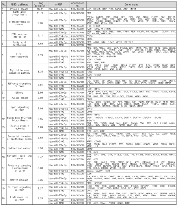 상향 조절된 11개 miRNA 관련 KEGG 패스웨이 (상위 20개)와 연관 유전자 목록