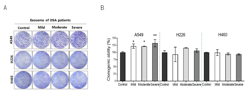 OSA 유래 엑소좀이 폐암세포의 증식능 (proliferation)에 미치는 영향 (Data were represented as means ± SD. *p < 0.05 and **p < 0.01 vs. Control by one-way ANOVA.)