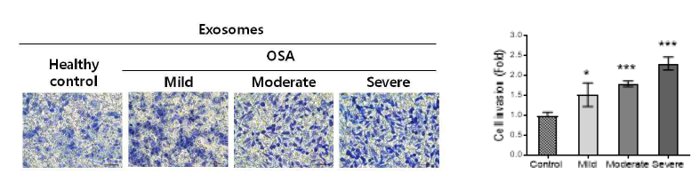 OSA 유래 엑소좀이 A549 세포의 침윤능 (invasion)에 미치는 영향 (Data were represented as means ± SD. *p < 0.05 and ***p < 0.001 vs. Control by one-way ANOVA.)