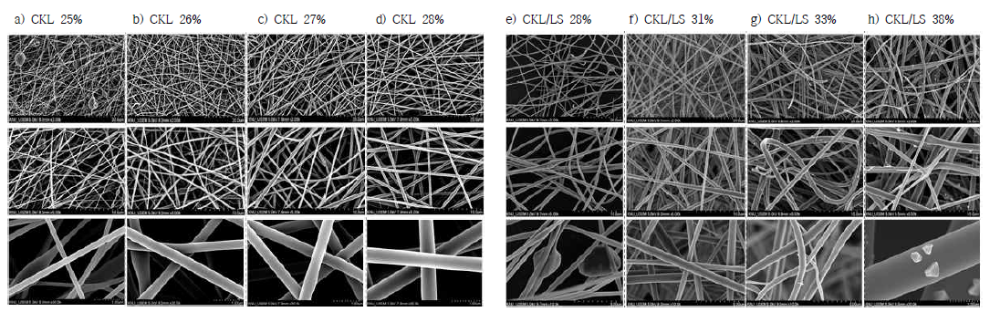 Morphology of CKL and CKL/LS precusor fibers from SEM