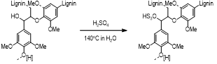 Synthetic pathway of lignosulfonate (LS)