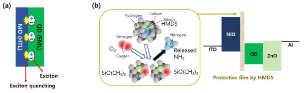 (a) NiO 정공 전달층과 양자점의 접촉으로 인한 엑시톤 퀸칭현상, (b) 본 과제에서 제안된 HMDS를 이용한 보호막 형성