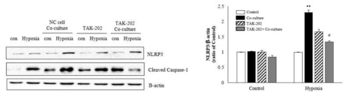 Neuronal cells derived S100A8 induces NLRP3 inflammasome priming in microglia under hypoxic conditions