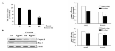 Microglia-mediated neuronal apoptosis in hypoxia