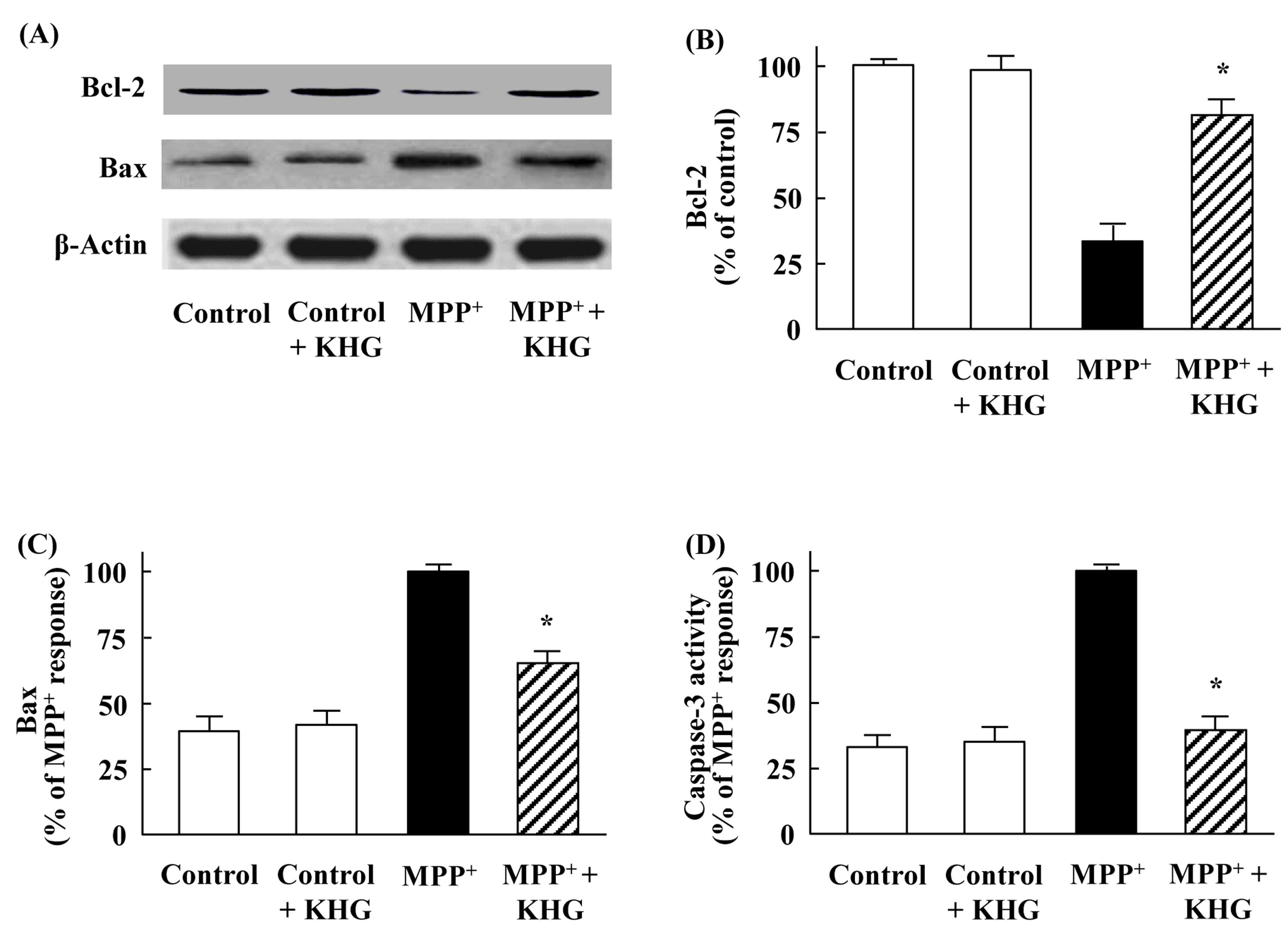 Effects of KHG26792 on MPP+-induced imbalance in the expression of Bax and Bcl-2, and caspase-3 activity