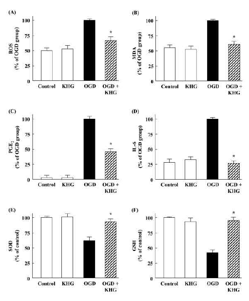 Effects of KHG26702 on markers of oxidative stress, inflammation, and antioxidant activity