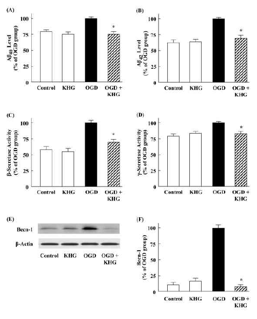 Effects of oxygen-glucose deprivation -reoxygenation (OGD-R) and KHG26702 on β-amyloid (Aβ) levels, secretase activity, and becn-1 levels in SH-SY5Y cells