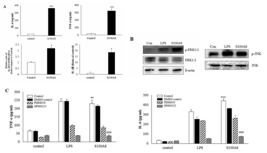 S100A8 induces pro-inflammatory cytokines and inflammation in BV-2 cells