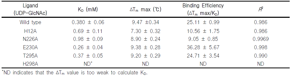 Kinetic parameters for the binding of UDP-GlcNAc to MtCuvA mutants by thermal shift assay