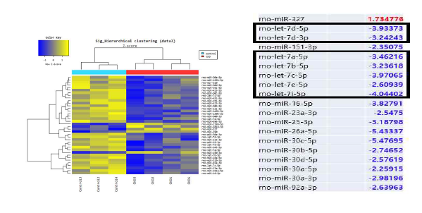[보고서]만성콩팥병에서 증가된 요독이 심장내 동결절 섬유화 및 세포사멸에 미치는 영향