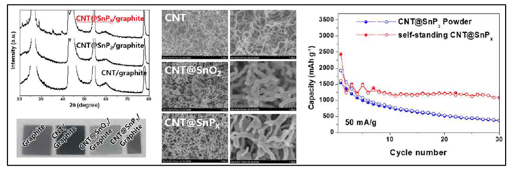 CNT-SnPX의 합성 및 전기화학 특성 평가