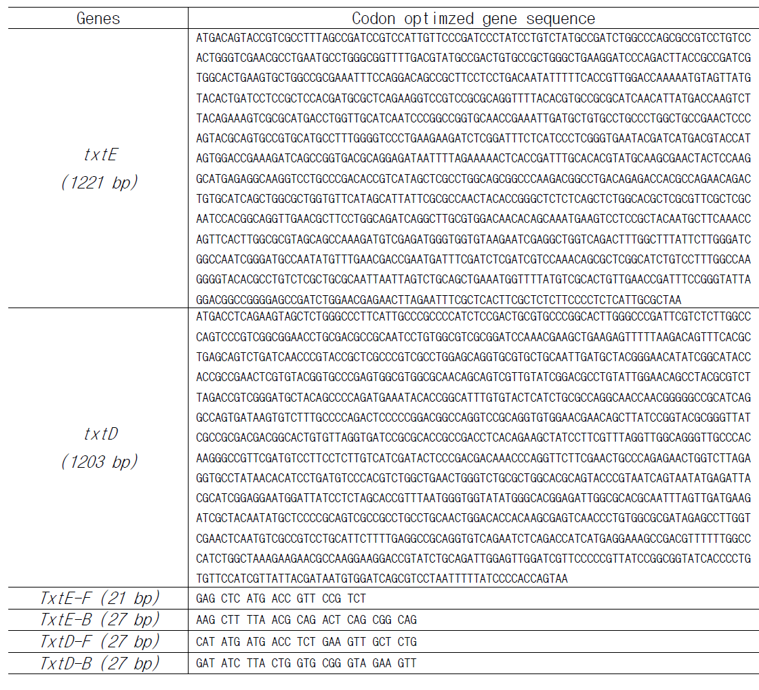 Codon optimized TxtE, TxtD DNA sequence 및 증폭 primers set