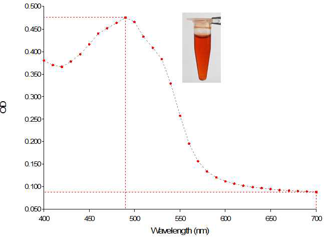 Deinoxanthine 계열 색소 spectral feature 분석 결과 (λmax 490 nm)