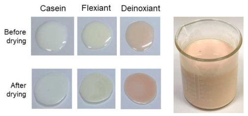 Flexiant 및 Deinoxiant의 bio-paint 제조 결과
