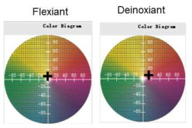 Flexiant 및 Deinoxiant의 bio-paint의 색차 테스트 결과