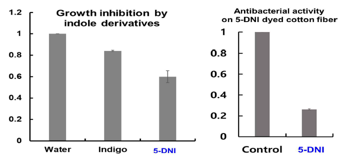 5-DNI의 growth inhibition activity 및 dyeing 이후 섬유의 antibacterial activity 결정